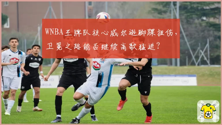 WNBA王牌队核心威尔逊脚踝扭伤，卫冕之路能否继续高歌猛进？